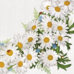 Χαρτοπετσέτα για Decoupage - 1 τεμ. λουλοδάκια με πουά και μπορντούρες καρό