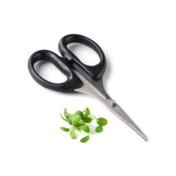 Small-black-scissor-for-sprouts-and-microgreens