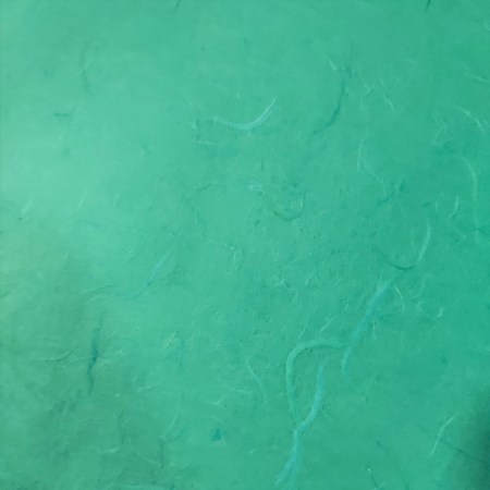 Μονόχρωμο Ριζόχαρτο Renkalik -  Pine Green