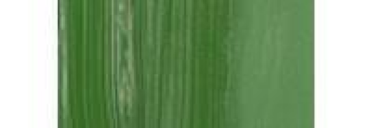 4916