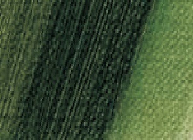 Green dark 50ml