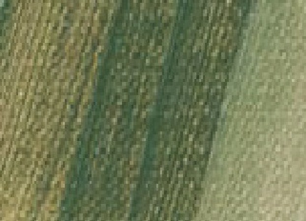 Πράσινο γης - Greenish earth 50gr