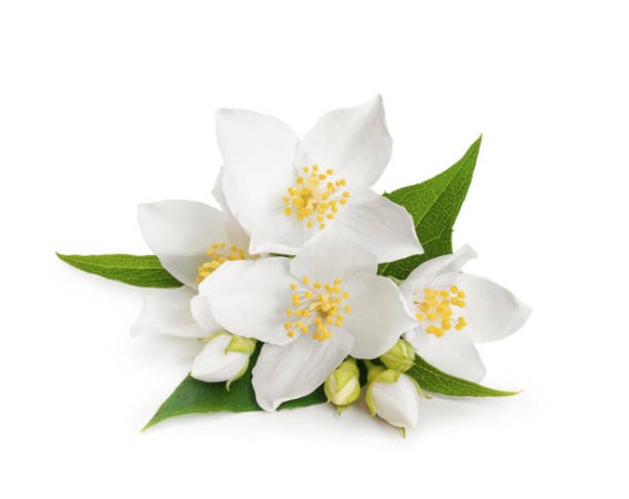 Άρωμα Jasmine 200ml