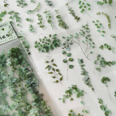 Αυτοκόλλητα με φύλλα Ευκαλύπτου σετ 6 τεμ.