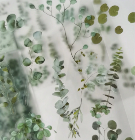 Αυτοκόλλητα με φύλλα Ευκαλύπτου σετ 6 τεμ.