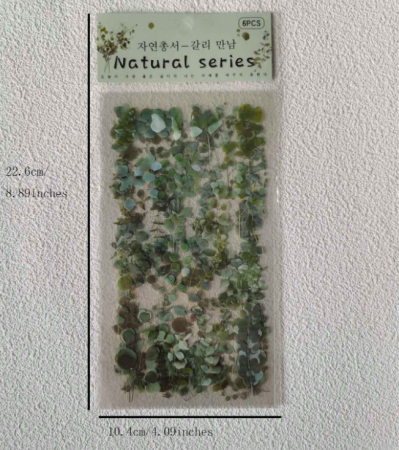 Αυτοκόλλητα με φύλλα Ευκαλύπτου σετ 6 τεμ.