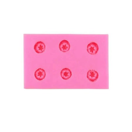 Καλούπι σιλικόνης 6 λουλουδάκια για πηλό, σκόνη πορσελάνης, ρητίνη, σαπούνι και Wax Melts.