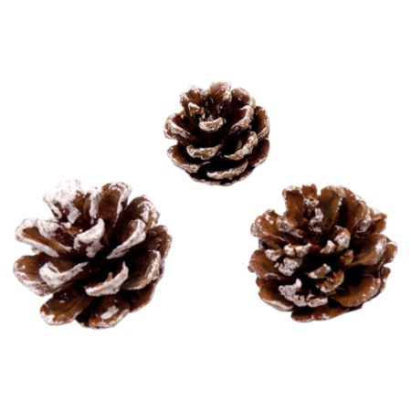 Κουκουνάρια λευκά χιονισμένα σε συσκευασία 250gr για χριστουγεννιάτικες συνθέσεις και DIY χειροτεχνίες.