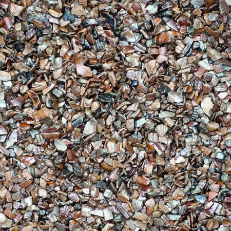 Κοχύλι σπασμένο 2-4mm 200gr natural