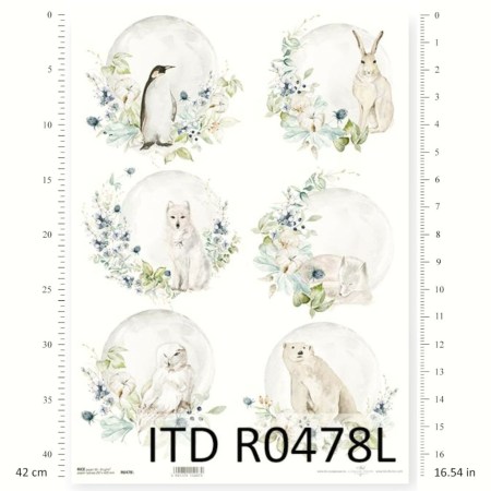 Ριζόχαρτο A3 – Ζώα του Χειμώνα σε Λουλουδένιους Κύκλους | ITD | Xeirokamoto