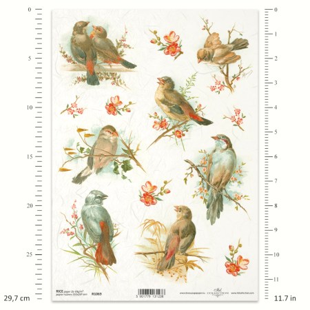 Ριζόχαρτο A4 – Πουλάκια & Λουλούδια σε Ρετρό Ανθοσυνθέσεις | ITD | Xeirokamoto