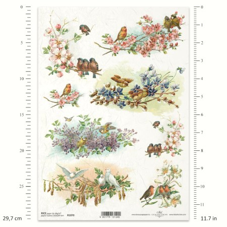 Ριζόχαρτο A4 – Ανθισμένα Κλαδιά με Πουλάκια για Decoupage | ITD | Xeirokamoto