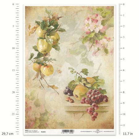 Ριζόχαρτο A4 με Μήλα και Σταφύλια για Decoupage | ITD Collection