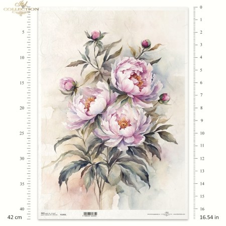 Ριζόχαρτο A3 με Παιώνιες Ροζ – ITD Collection