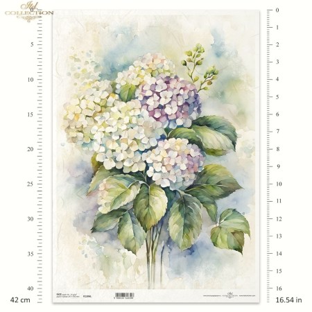 Ριζόχαρτο A3 – Ορτανσίες σε Υδατογραφία για Decoupage | ITD | Xeirokamoto