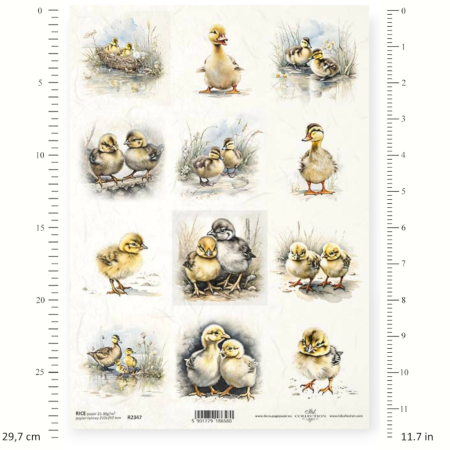 Ριζόχαρτο Decoupage ITD R2347 A4 – Παπάκια και Πάπιες σε Αγροτικό Στυλ