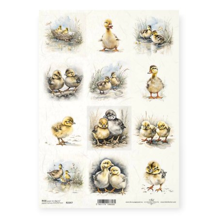 Ριζόχαρτο Decoupage ITD R2347 A4 – Παπάκια και Πάπιες σε Αγροτικό Στυλ