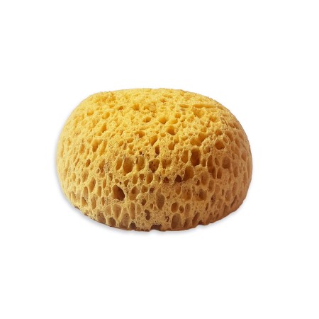 Φυσικό σφουγγάρι θαλάσσης 13x11.5x6cm για καλλιτεχνικές δημιουργίες και εφέ ζωγραφικής.