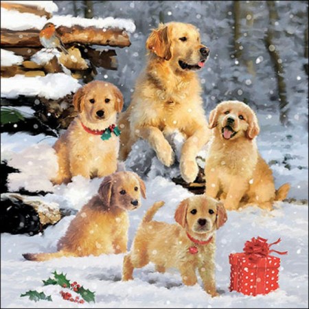 Χαρτοπετσέτα για decoupage με κουτάβια Golden Retriever (1 τεμ.).