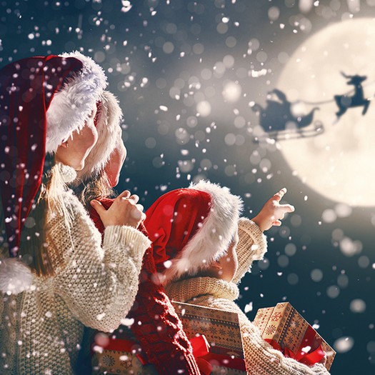 Χαρτοπετσέτα Χριστουγεννιάτικη There is Santa - 1 τεμ.