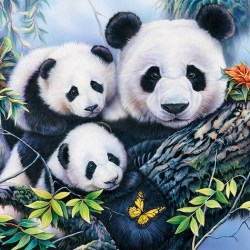 Χαρτοπετσέτα για Decoupage Με Panda - 1 τεμ.