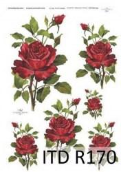 Ριζόχαρτο ITD κόκκινα τριαντάφυλλα - 29.7x21cm