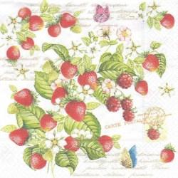 414-RMS-Romantic-Strawberry-Nuova-R2S-passioncreationcollection_ml