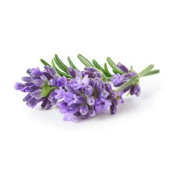 Άρωμα Lavender 15ml