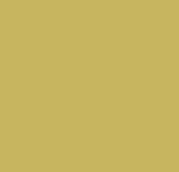Κορδέλα Γκρο Φυσικό Χρώμα 6mm x 22.86m