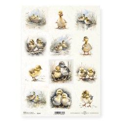 Ριζόχαρτο Decoupage ITD R2347 A4 – Παπάκια και Πάπιες σε Αγροτικό Στυλ