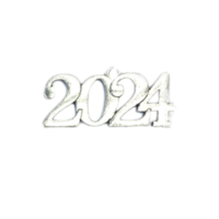 Μεταλλικό 2024 σετ 10 τεμ. Ασημί 2.5x1.2cm