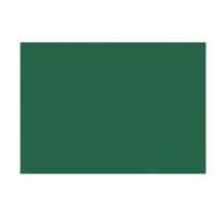 Χαρτόνι FAVINI 50Χ70 220γρ χρώματος Πράσινο Σκούρο
