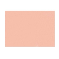 Χαρτόνι FAVINI 50Χ70 220γρ χρώματος Ρόζ Σολομού